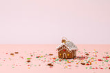 Tiny Home Gingerbread Kit (24) Local Wholesale